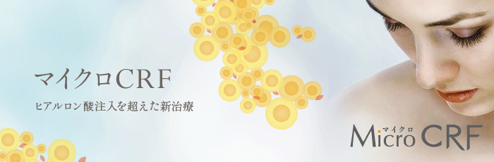 マイクロCRF